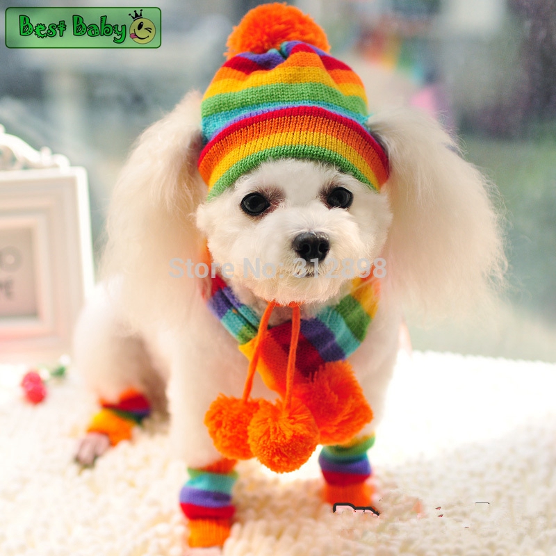 Winter Pet Puppy Accessories F - đánh giá và giá Baby Products Best