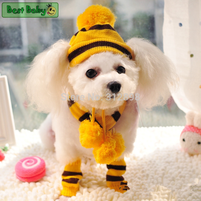 Winter Pet Puppy Accessories F - đánh giá và giá Baby Products Best